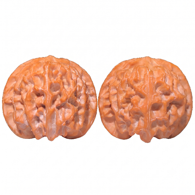 Pingguoyuan WenWan Walnuts / Apple Shaped Polished Walnuts