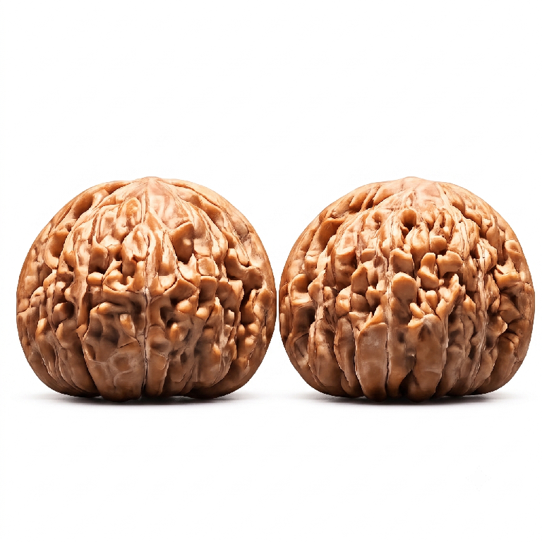 Sizuolou WenWan Walnuts / Chrysanthemum Base Polished Walnuts