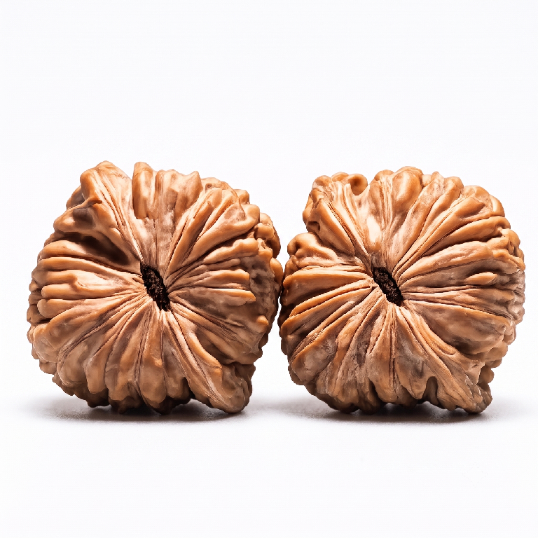 Sizuolou WenWan Walnuts / Chrysanthemum Base Polished Walnuts