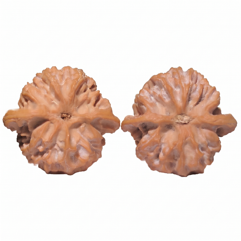 Pingguoyuan WenWan Walnuts / Apple Shaped Polished Walnuts